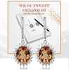 Elegant Gem 925 Sterling Silver Plated Fashion Earrings