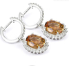 Elegant Gem 925 Sterling Silver Plated Fashion Earrings