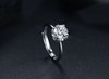 Crown Ring Support VVS Moissanite 925 Silver Plated Platinum Ring