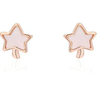 Star Tree 925 Sterling Silver Gold-plated Earrings