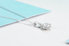 Anniversary Gift 925 Sterling Silver Plated 14K Platinum Moissanite Necklace