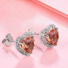 Champagne Gem 925 Sterling Silver Plated Women's Cute Earrings